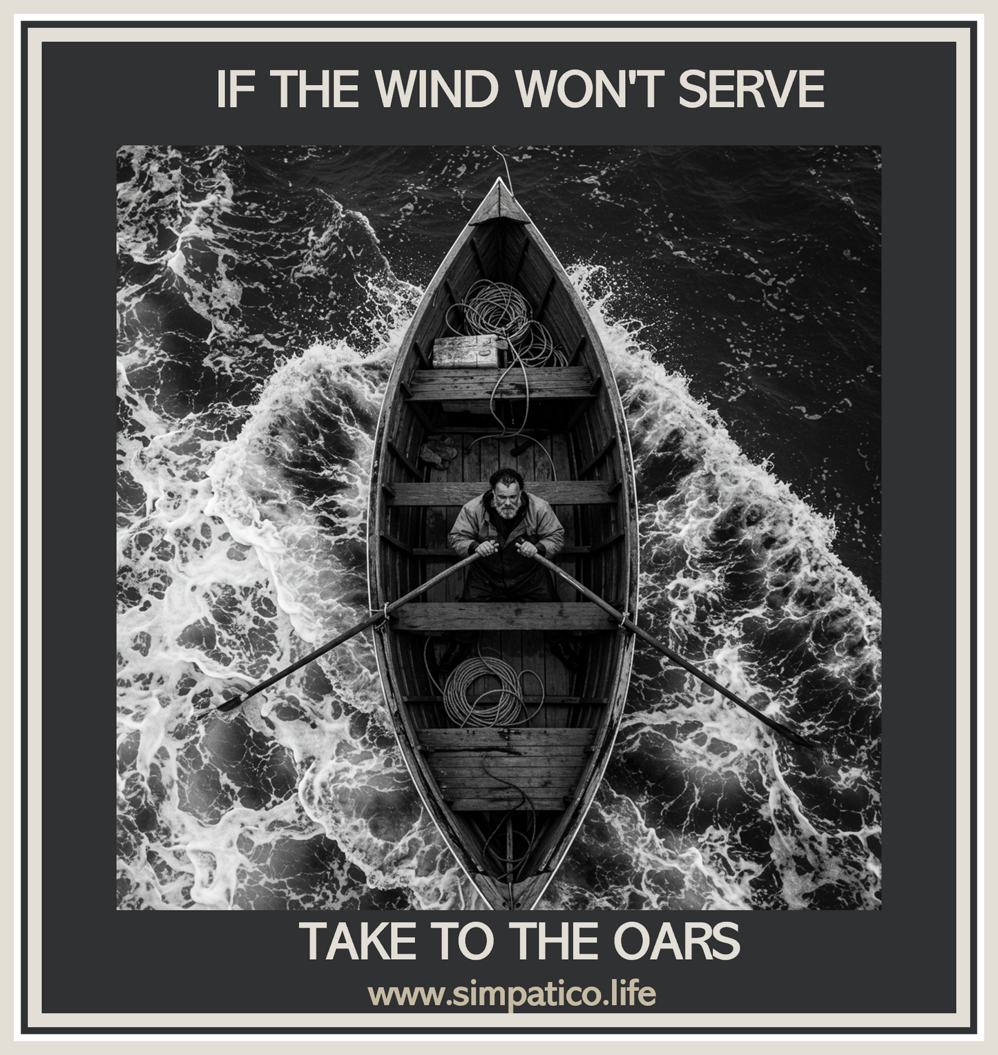Take to the Oars - T-Shirt