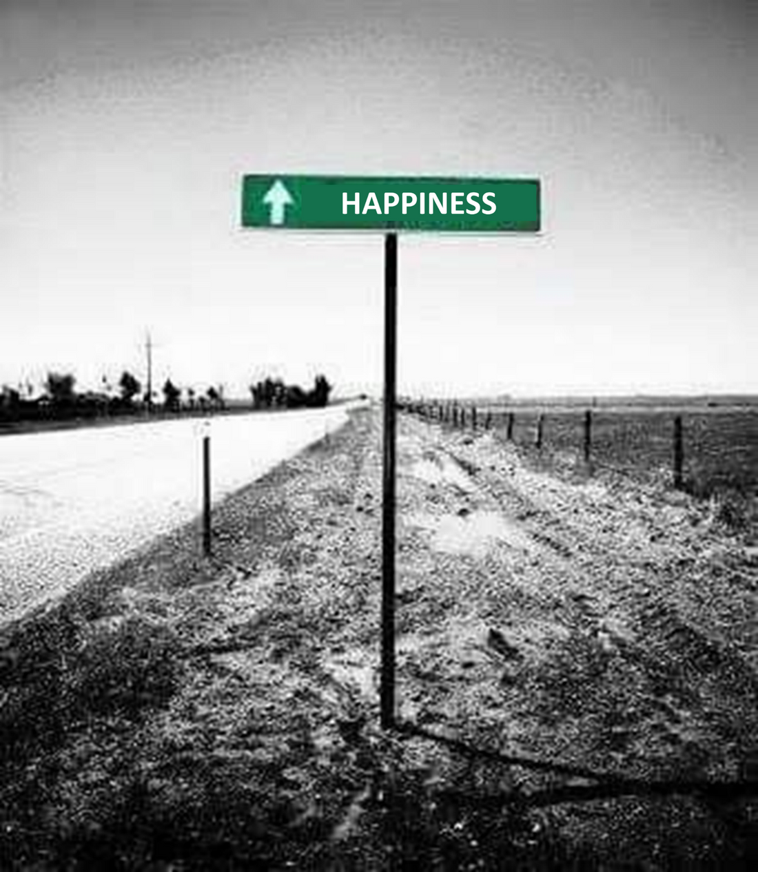 What is Happiness?